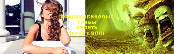 apvp Инсар